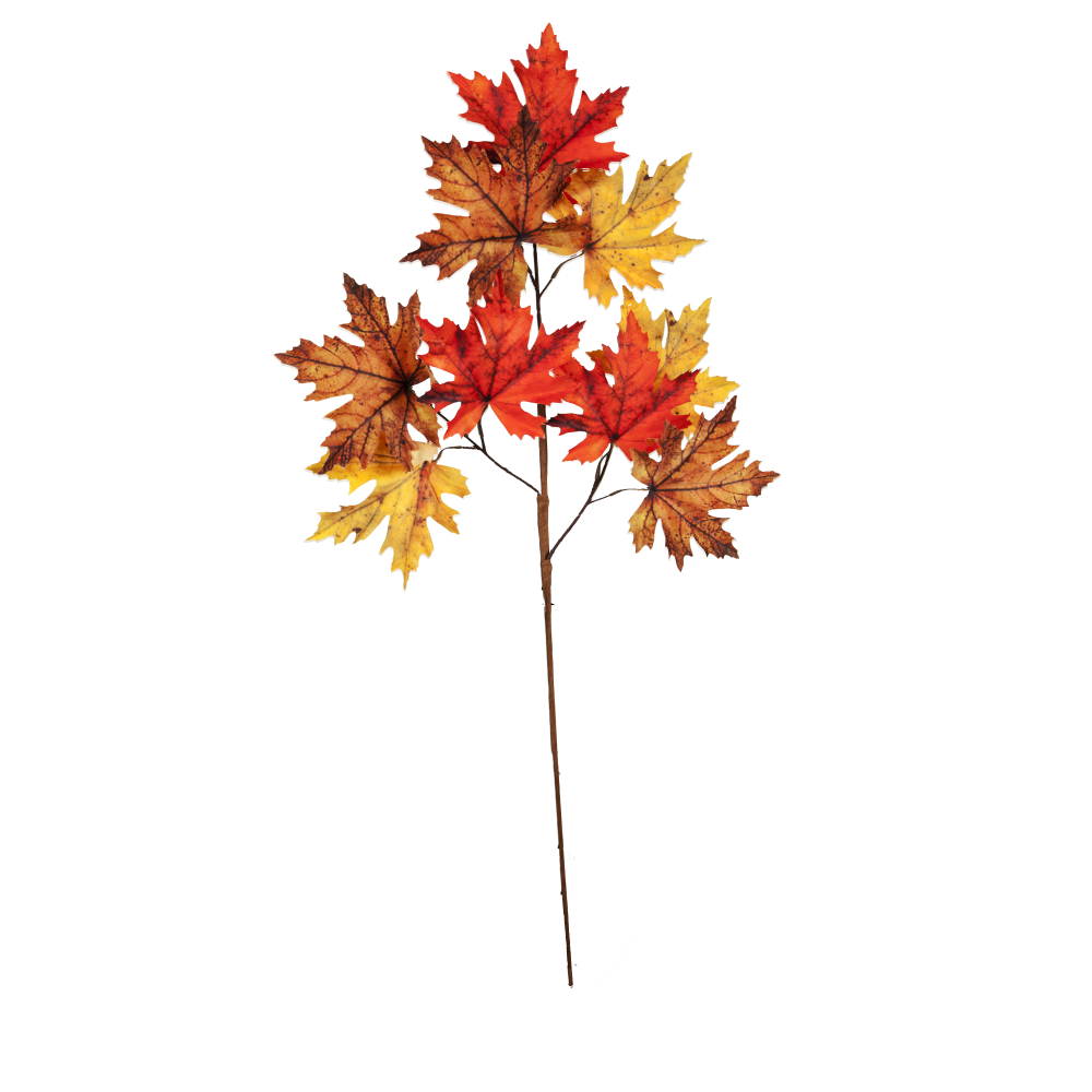 [0685775] branch maple leaves small
