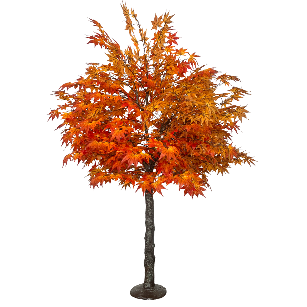 [0687496] maple tree XXL