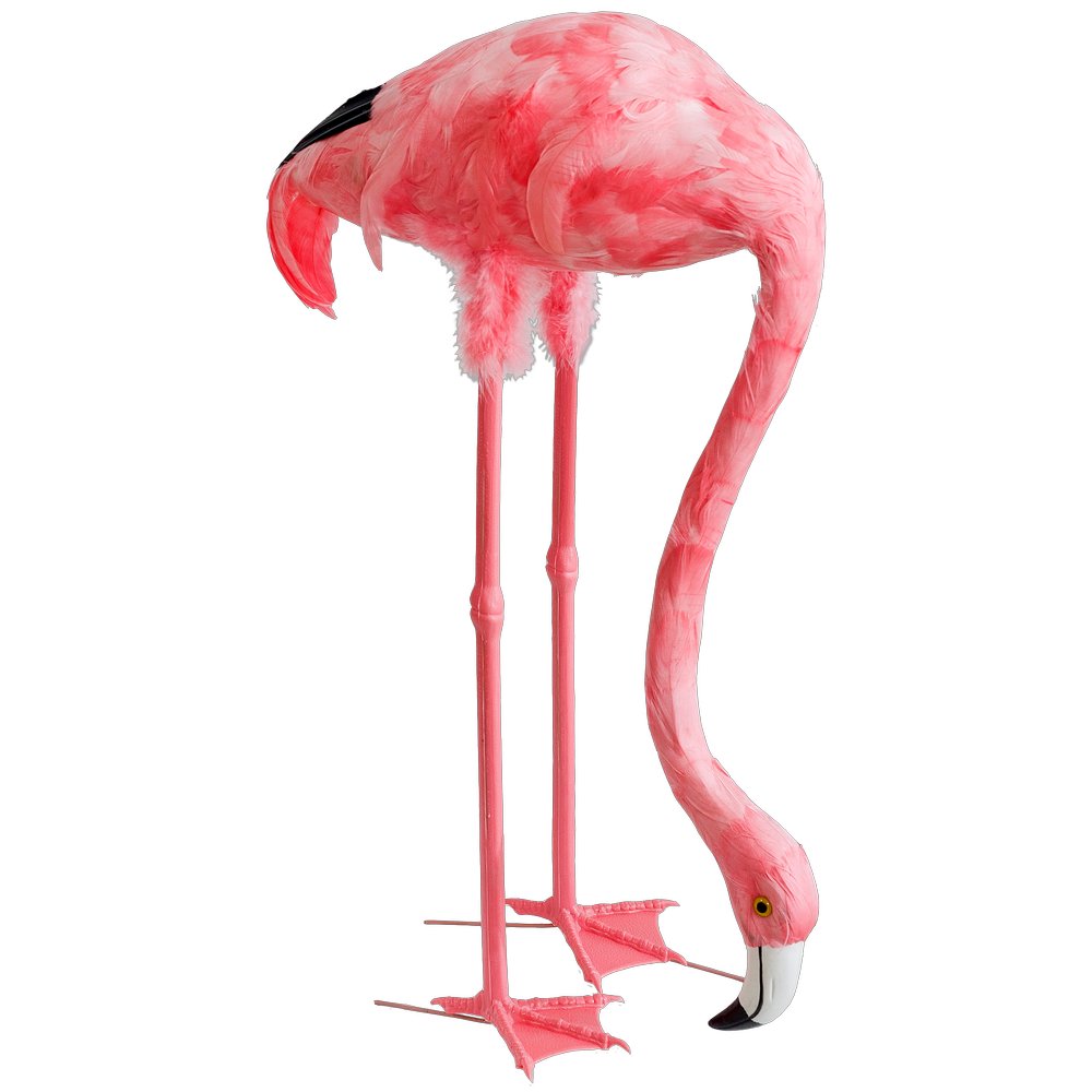 [0684941] flamingo with head down (big)