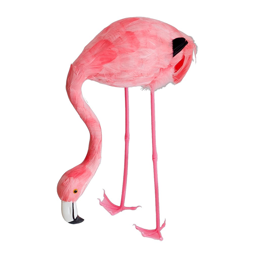 flamingo wit head down (small)