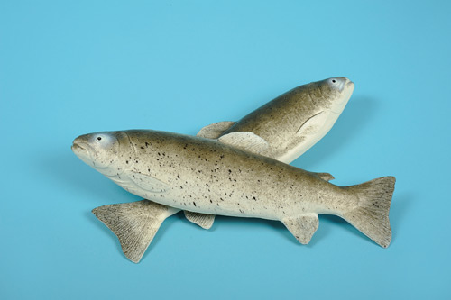 [0054504] trout