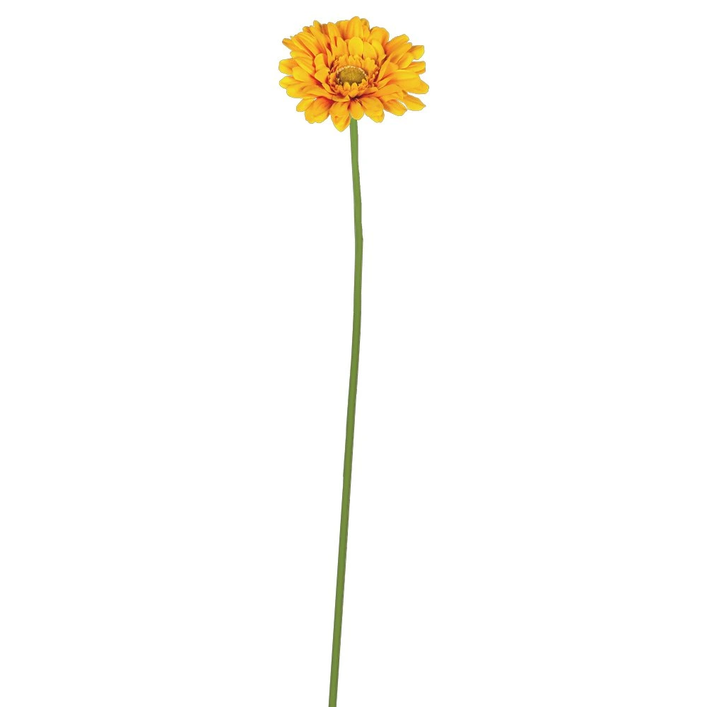 gerbera/steel