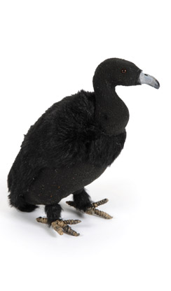 [0687305] vulture