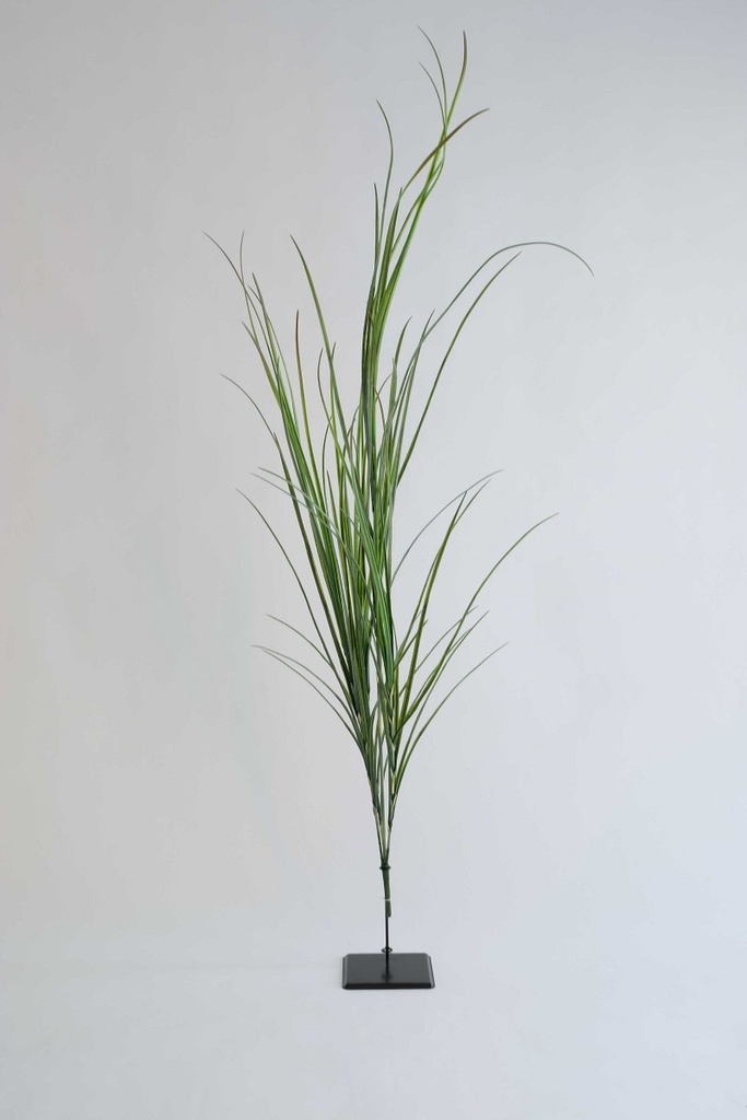 grasbundel