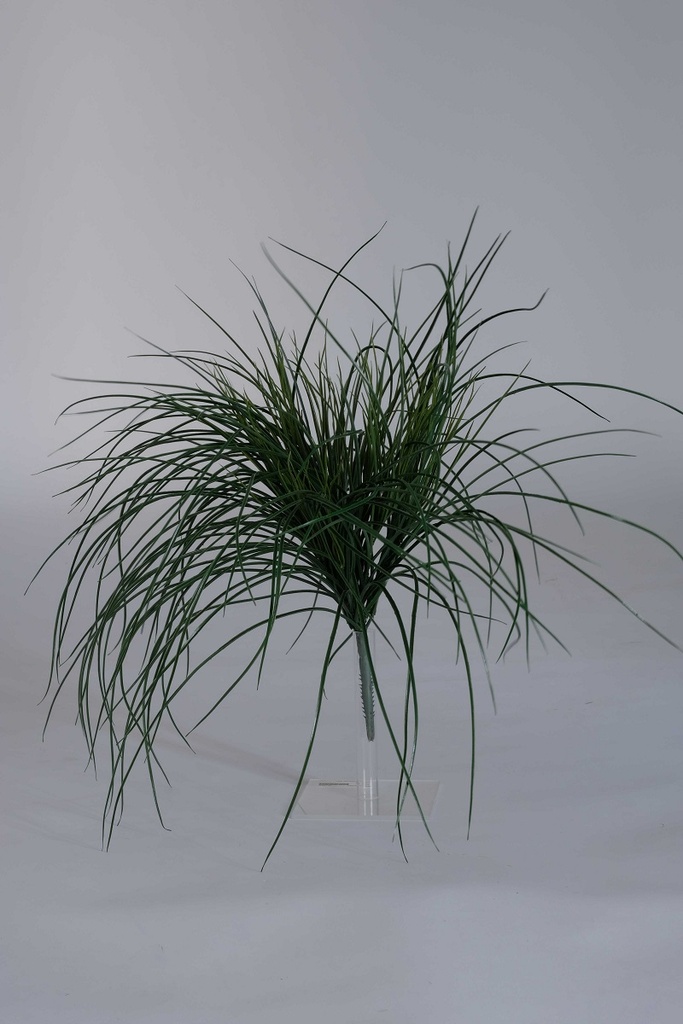 [0683179] bundle of grass