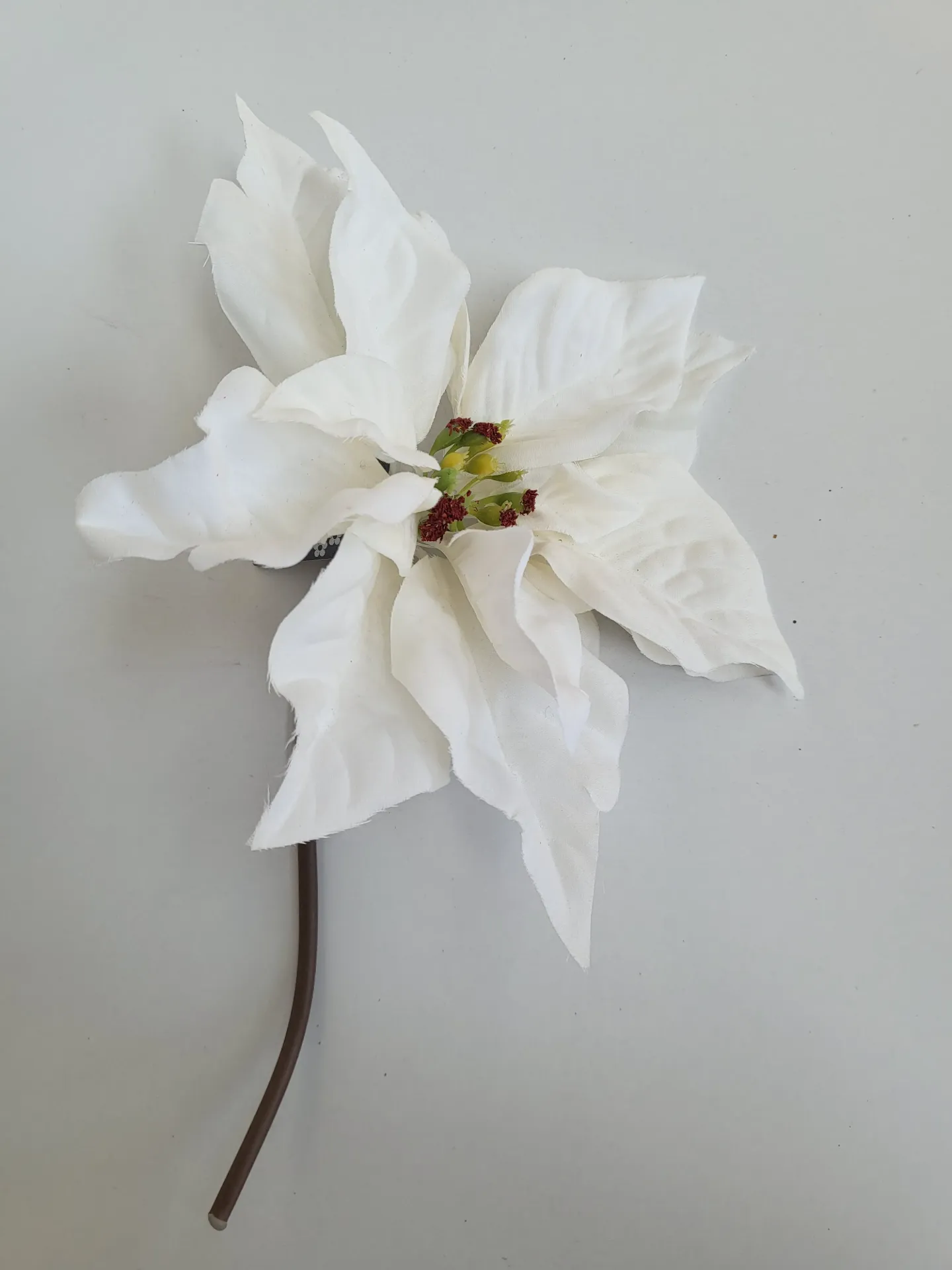 [0043533] Poinsettia / stem